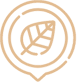 Ecological logo png